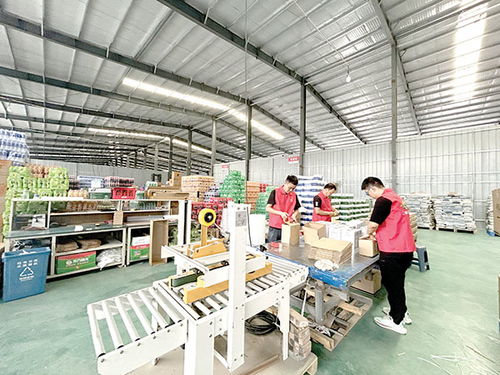 筑巢引商興產業，日用品銷售繪就鄉村新畫卷